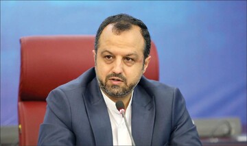 وزارت اقتصاد صورتهای مالی کدام شرکتها را افشا میکند؟