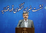سخنگوی قوه قضاییه درباره اعدام محسن شکاری توضیح داد