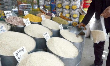تا دو دهه دیگر برنج شمالی نابود میشود / ماجرا چیست؟
