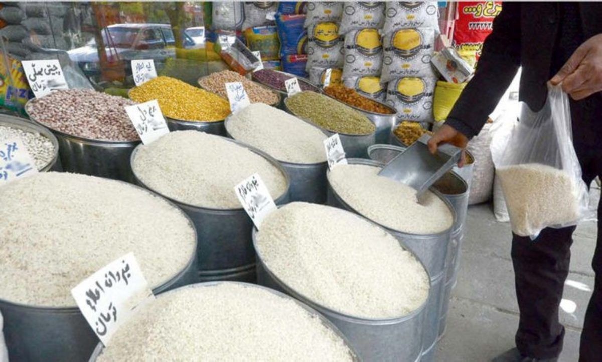 مشکل جدید برای برنج شمال / ممنتظر گرانی دوباره برنج باشیم؟