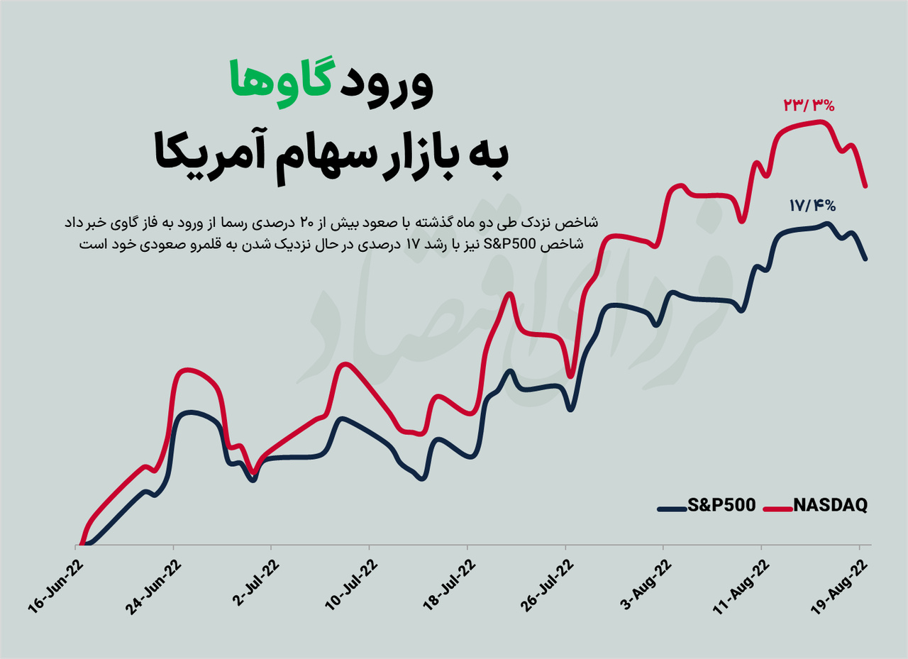 ورود گاوها به بازار سهام آمریکا