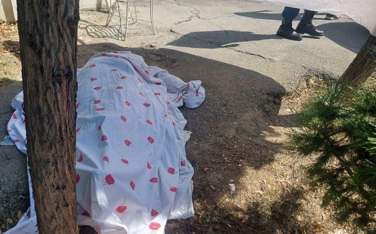 جزییاتی جدید از قتل رئیس اسبق پزشکی قانونی کشور جزییاتی جدید از قتل رئیس اسبق پزشکی قانونی کشور