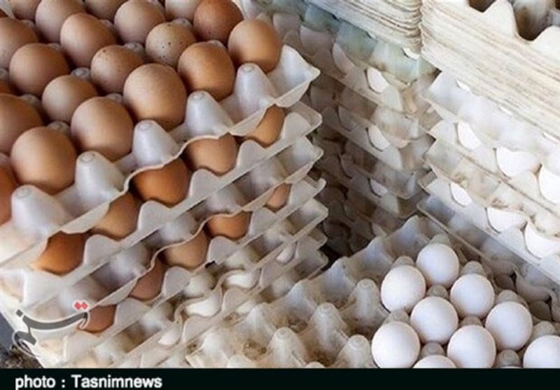 صادرات تخم مرغ عملا متوقف شد