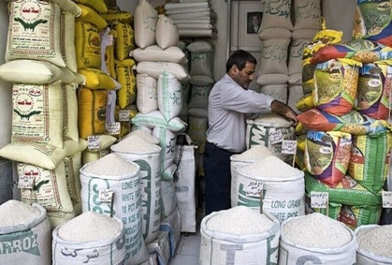 دولت خریدار برنج می‌شود