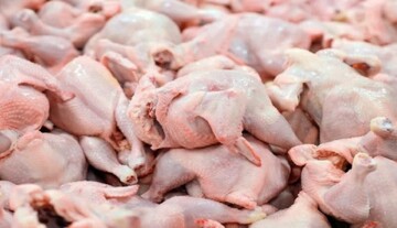 علت نایابی مرغ در این استانها معلوم شد