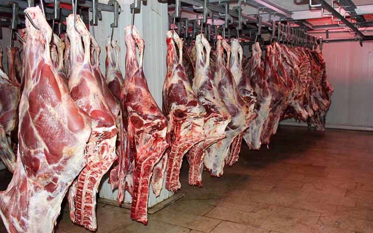 عرضه گوشت قرمز از فردا عرضه گوشت قرمز از فردا
