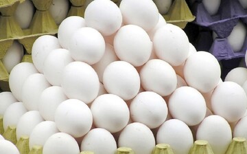 ترکیه بازار تخممرغ ایران را گرفت؟