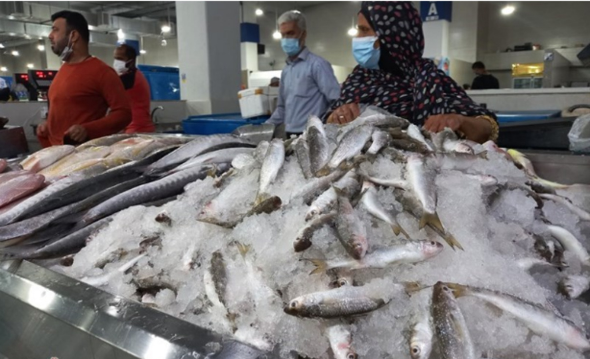 سرانه مصرف ماهی در ایران چقدر است؟