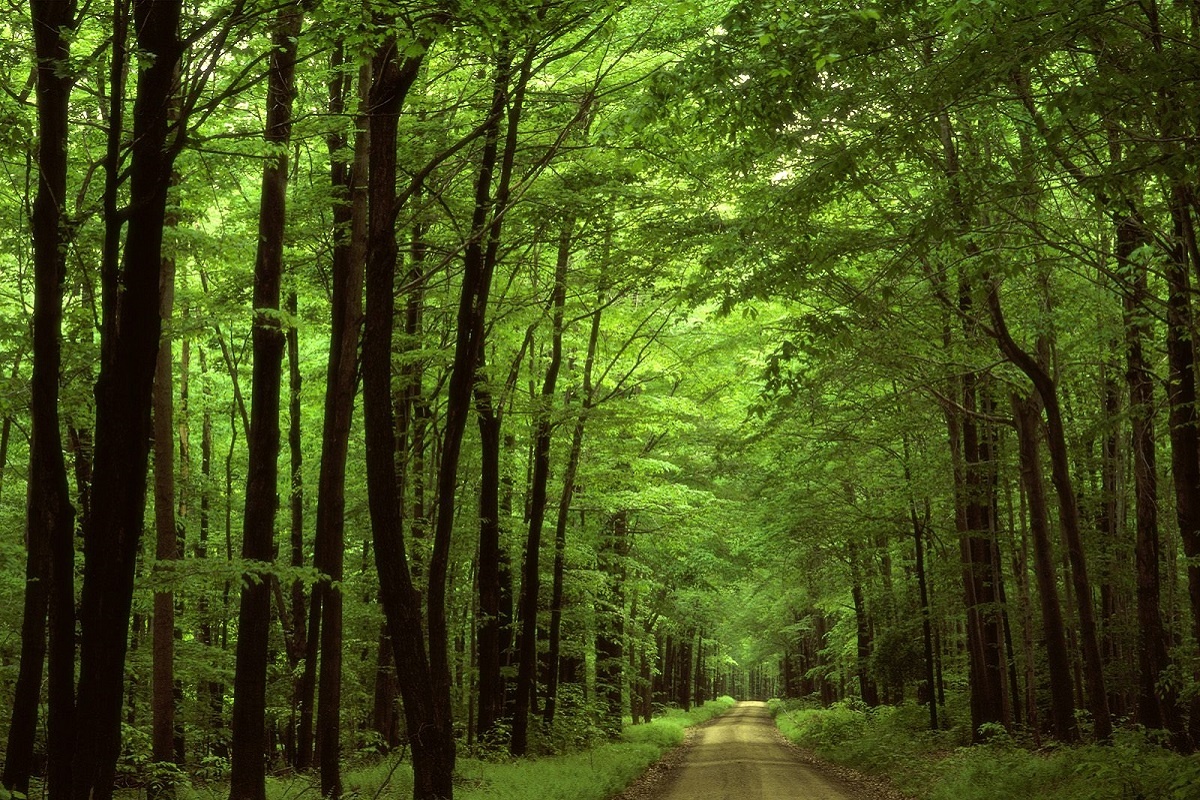 جایزه عکاس محیط زیست سال به یک ایرانی رسید+ عکس جایزه عکاس محیط زیست سال به یک ایرانی رسید+ عکس