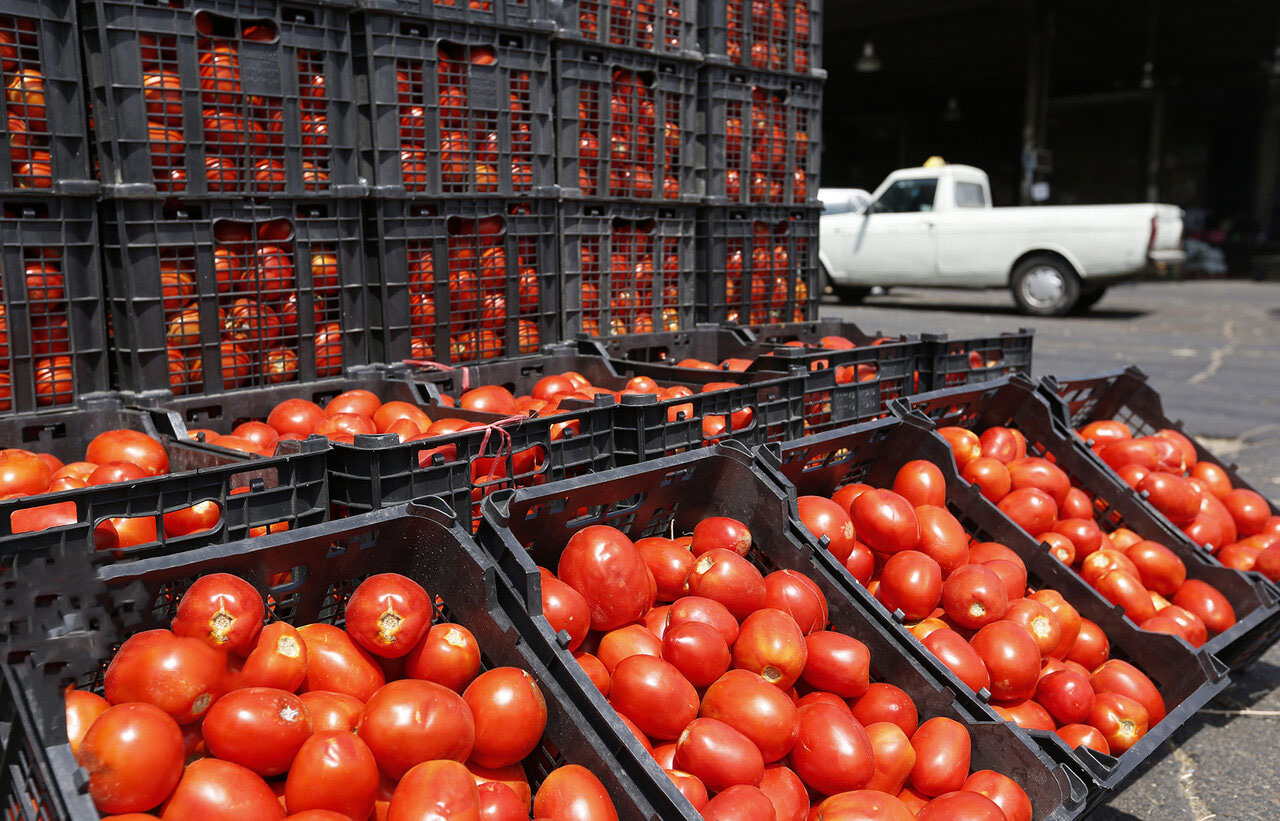 علت افزایش قیمت عجیب پیاز و گوجه فرنگی چیست؟
