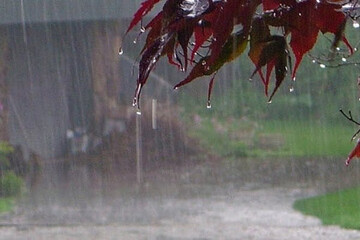 غافلگیری در جنوب: بیشترین بارندگی در این دو استان گرمسیر