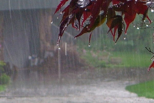 فوری/ هشدار جدی هواشناسی برای بارش شدید در این استان‌ها + فیلم
