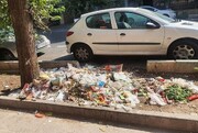 جنجال سطل‌های زباله در تهران