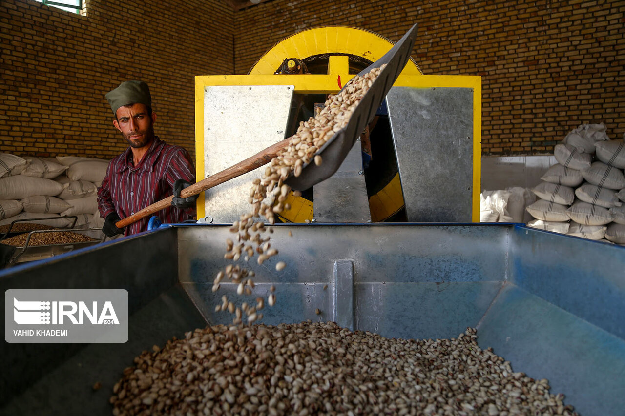 مشتریان پسته ایران کجا رفتند؟ مشتریان پسته ایران کجا رفتند؟