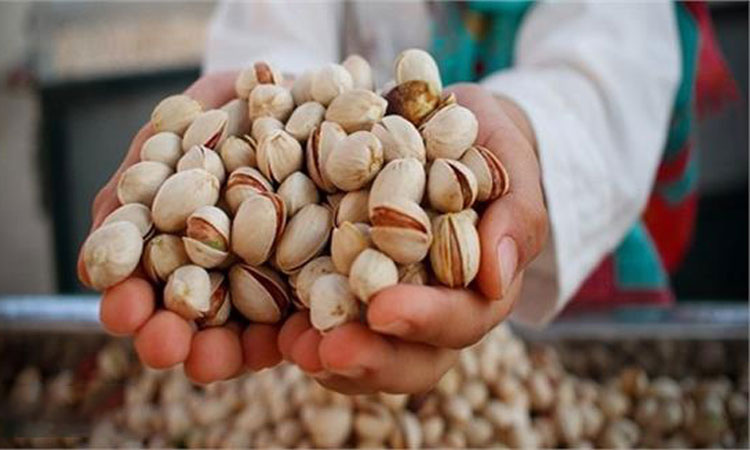 پسته ایران در دست چینیها؟ / اروپا دیگر پسته ایران را نمیخواهد؟ پسته ایران در دست چینیها؟ / اروپا دیگر پسته ایران را نمیخواهد؟