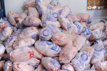 صادرات مرغ بدون عوارض آزاد شد