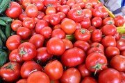 چرا گوجه‌فرنگی از سطح بازار جمع‌آوری شد؟