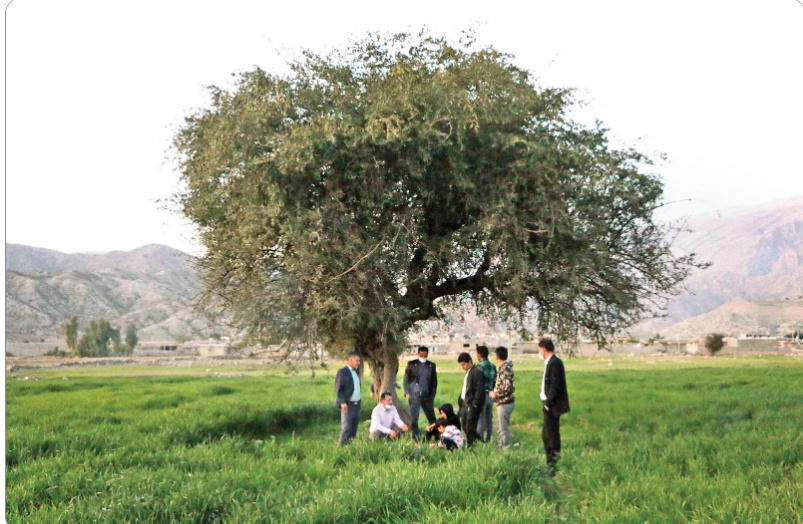 سرنوشت غمانگیز روستای بورسی چه بود؟ سرنوشت غمانگیز روستای بورسی چه بود؟