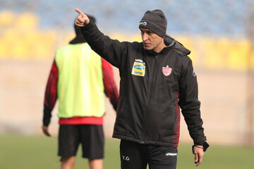 واکنش تند گلمحمدی به توهین علیه علی دایی