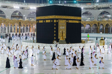 دولت با حاجیها ارز را چقدر حساب میکند؟/ هر دلار ۱۵ درصد کمتر از بازار!