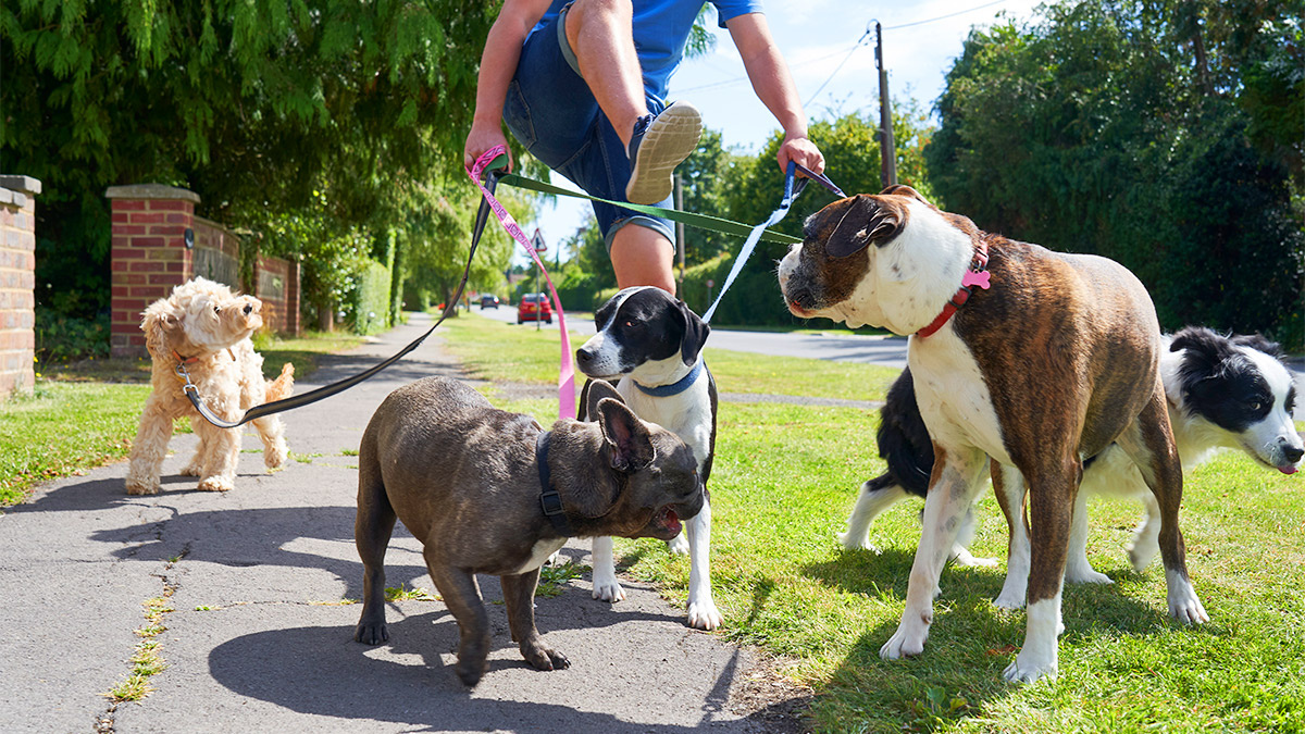 سیستمها، بزرگترین چالشهای امروز محیطهای کاری سیستمها، بزرگترین چالشهای امروز محیطهای کاری