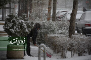 هشدار فوری/ بارش برف در این مناطق تهران از امشب تا آخر هفته