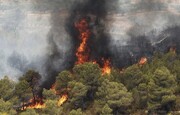 آتش‌سوزی گسترده در جنگل‌های رودبار