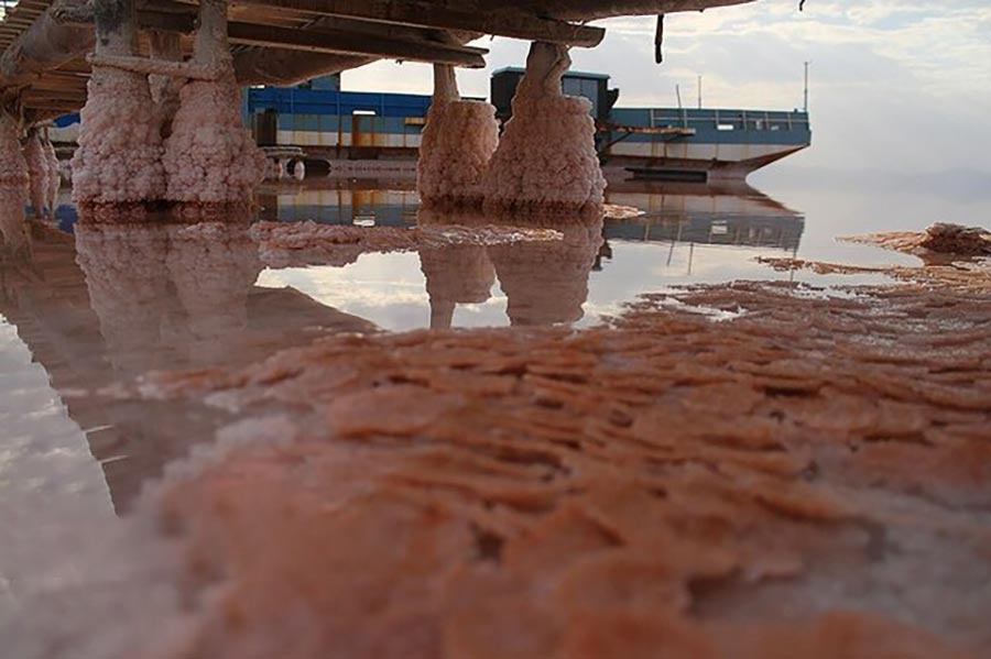 وجود کانی‌ها در دریاچه ارومیه