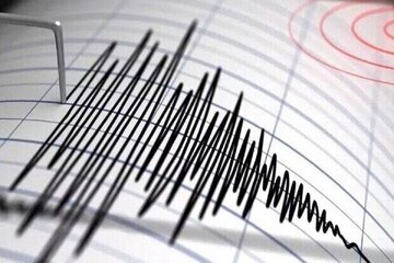 فوری/ زلزله نسبتا شدید در شمال غرب ایران