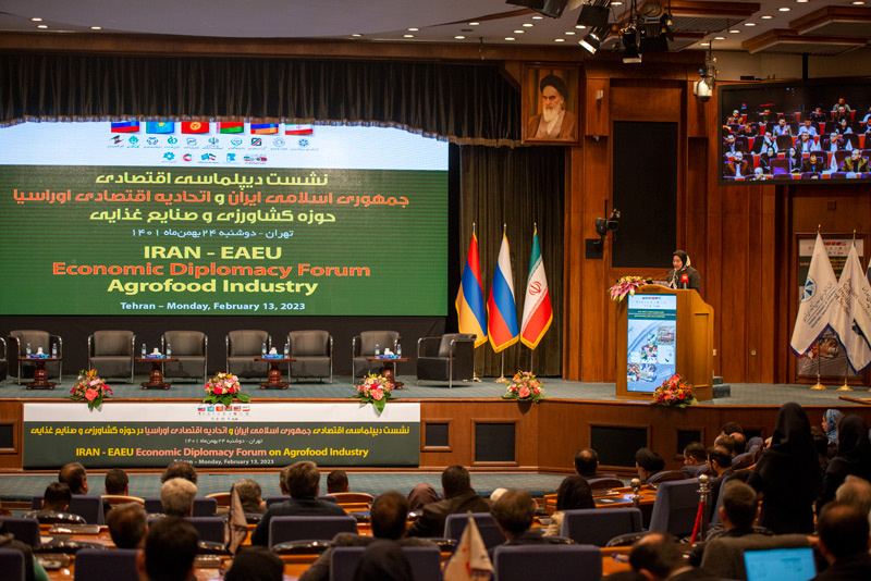 رایزنی برای عضویت ناظر ایران در اوراسیا رایزنی برای عضویت ناظر ایران در اوراسیا