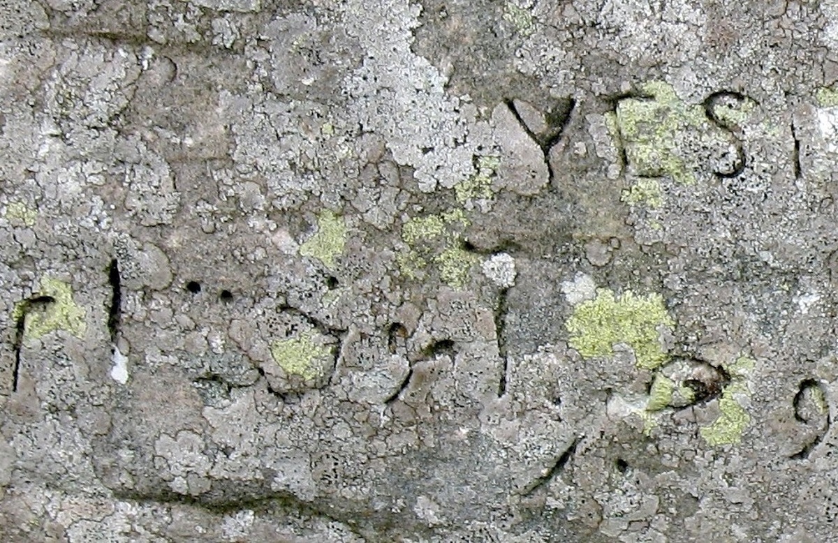 عبارت مرموز فارسی بر صخره ۵ هزار ساله اسکاتلندی+ عکس