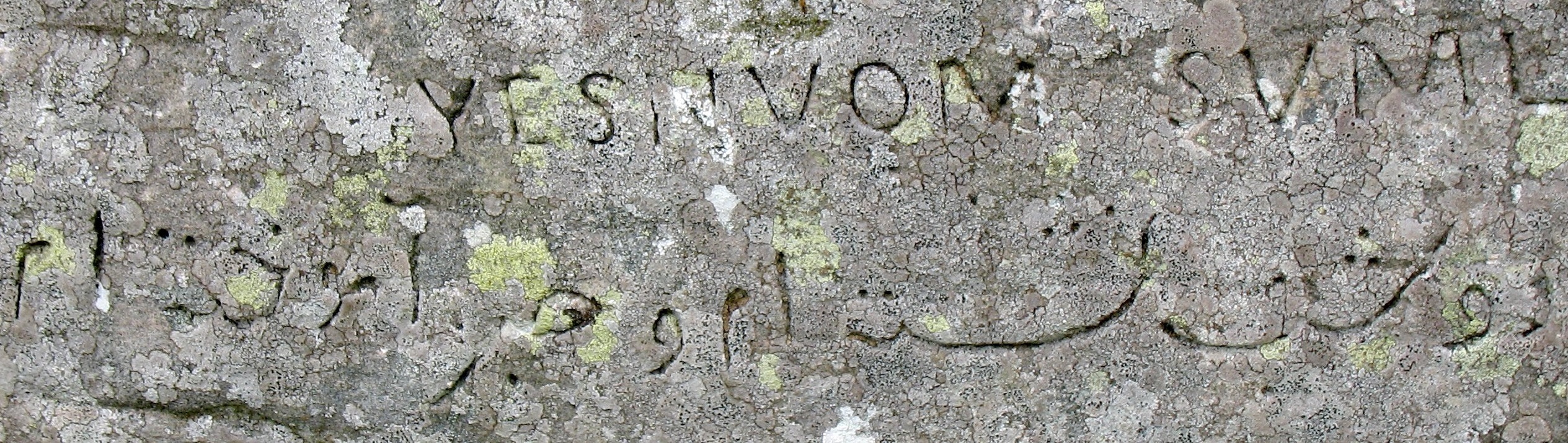  عبارت مرموز فارسی بر صخره ۵ هزار ساله اسکاتلندی+ عکس