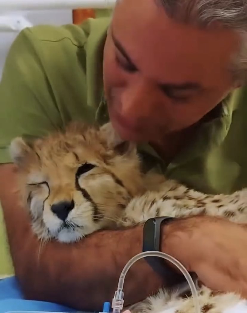 آخرین عکس از لحظات دردناک «پیروز» و پرستارش