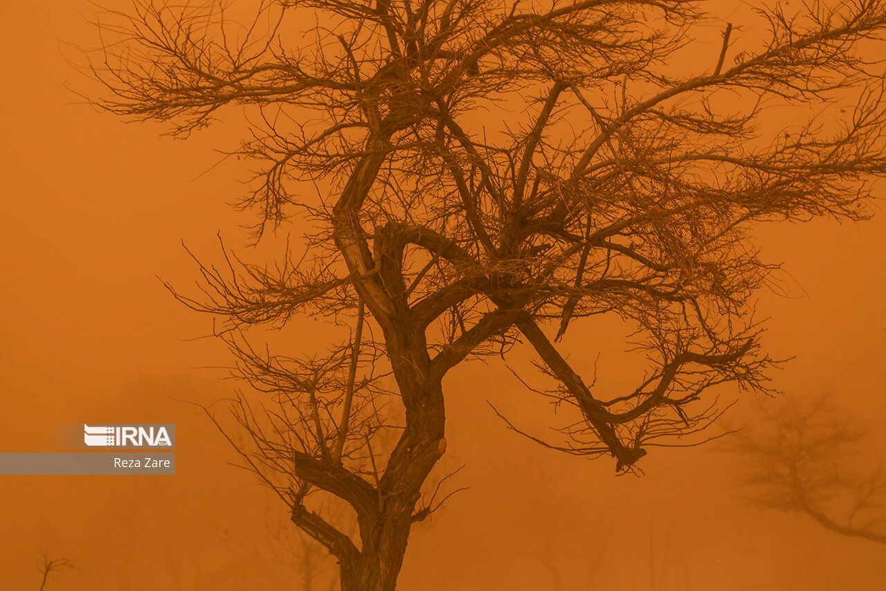 مردم اردبیل در این وضعیت بحرانی زندگی میکنند + عکس