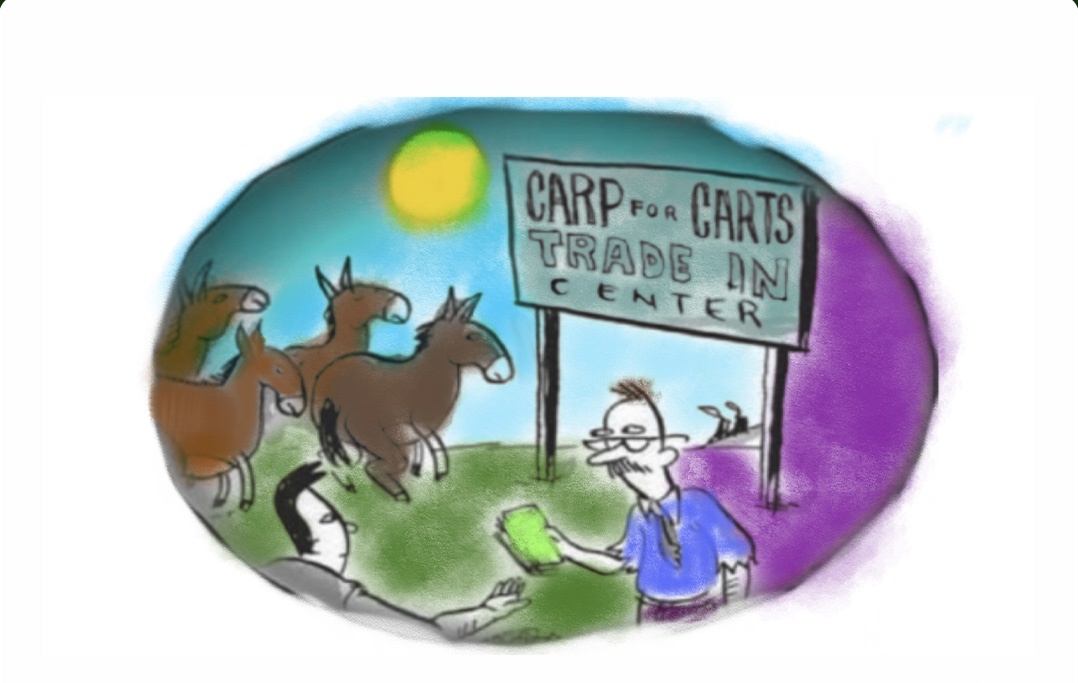 رمز و راز قدم زدن روی ثروت رمز و راز قدم زدن روی ثروت