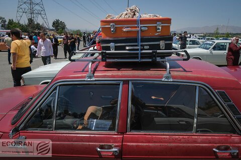 کلوپ پیکانسواران در برج میلاد غوغا به پا کردند+ عکس