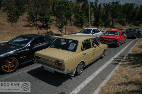 کلوپ پیکانسواران در برج میلاد غوغا به پا کردند+ عکس