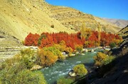 این کشور همسایه رودخانه ایران را آلوده می‌کند؟