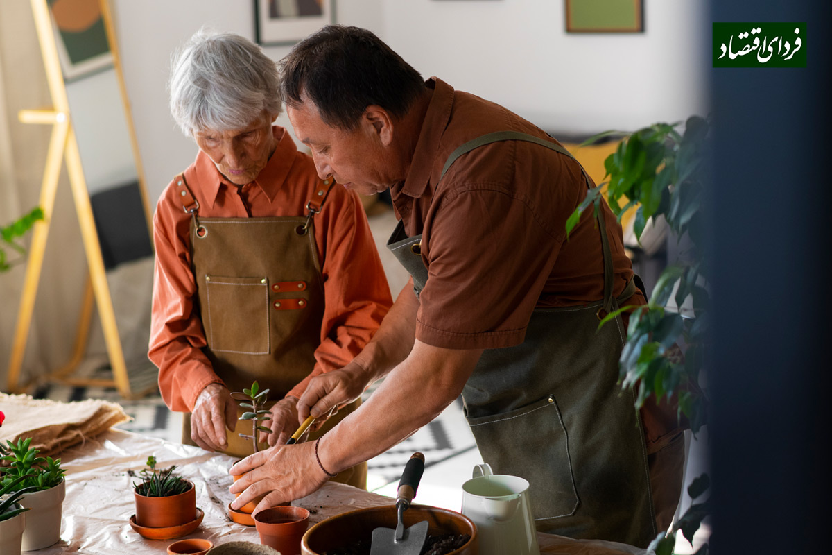 سیاستهای بازنشستگی چگونه بر بازار کار اثر میگذارد؟ سیاستهای بازنشستگی چگونه بر بازار کار اثر میگذارد؟