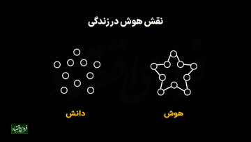 نقش هوش در زندگی