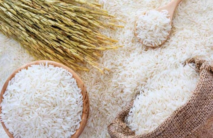 آمار مربوط به ثبت سفارش و واردات برنج منتشر شود