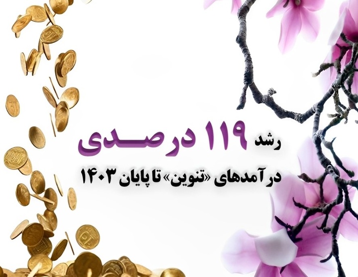رشد ۱۱۹درصدی درآمدهای «تنوین»  