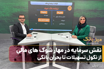 نقش سرمایه در مهار شوک‌های مالی/از نکول تسهیلات تا بحران بانکی